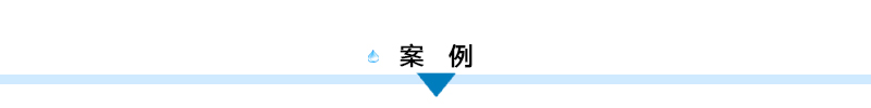 案例標(biāo)題