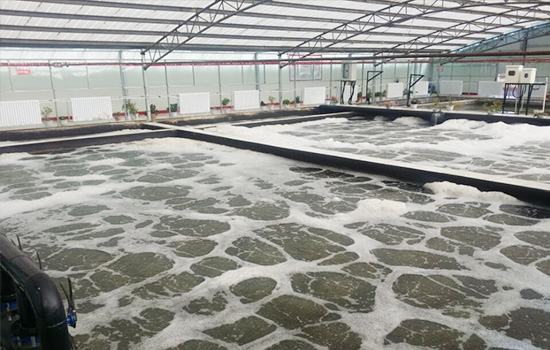 高寒地區生活污水處理技術解決方案